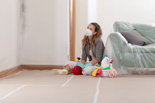 Reliable Mold Remediation contractor in Pinconning, MI by 24 Hour Mold Removal